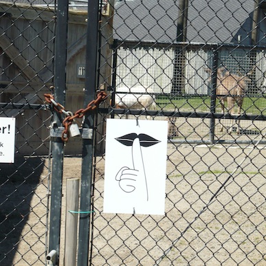 web.jpg